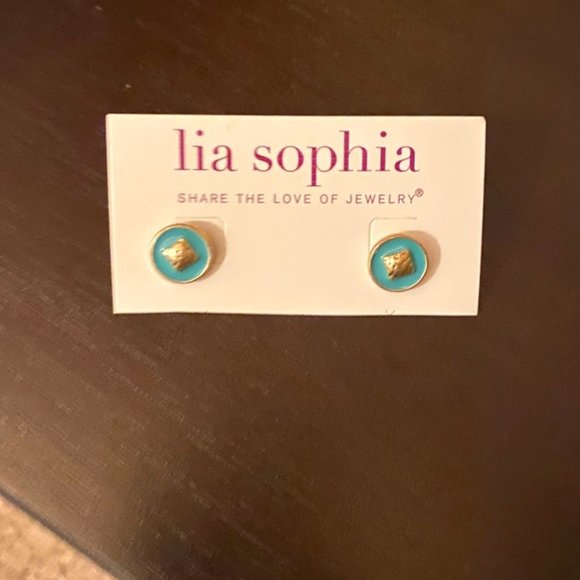 Jewelry - Teal and Gold Studded Earrings